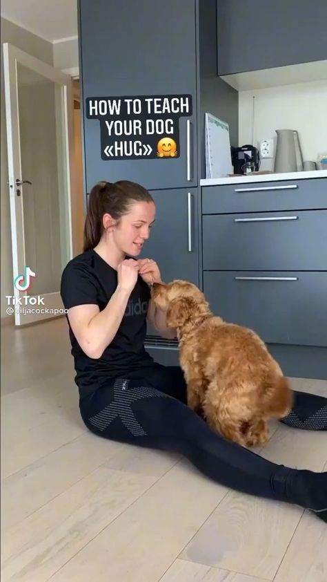 Cool Dog Tricks, Dog Hug, Teach Dog Tricks, Dogs Hugging, Puppy Time, Really Cute Dogs, Dog Hacks, Pet Training, Dog Training Tips