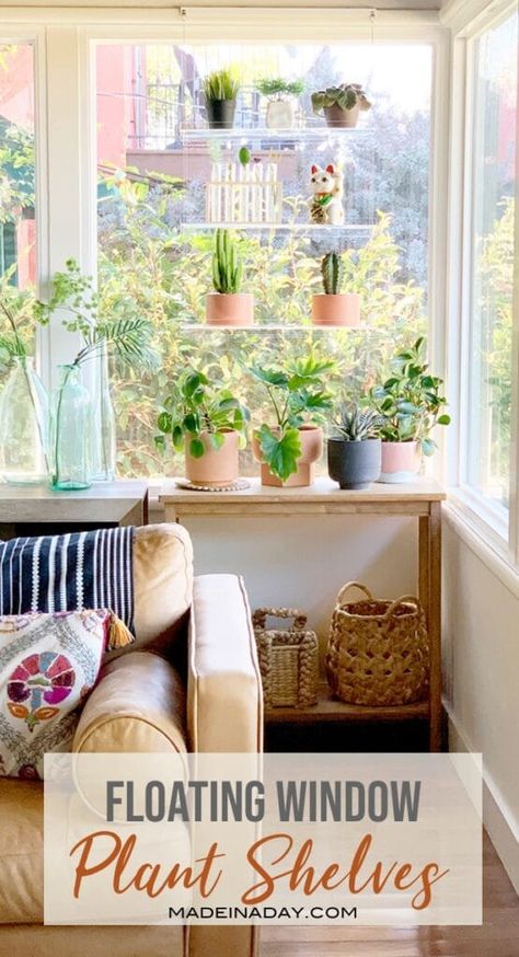 Window Shelf For Plants, Window Plant Shelf, Plant Window, Apartment Vibes, Window Plants, Window Shelves, Window Planters, Urban Apartment, Indoor Window