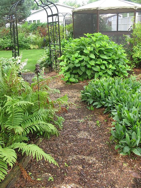 Garden Pathway Ideas, Wooden Pathway, Pathway Ideas, Garden Mulch, Concrete Path, Wooden Path, Indian Garden, Gravel Garden, Garden Pathway