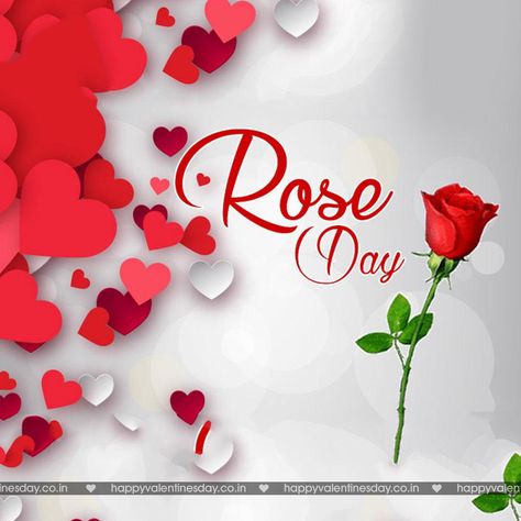 Rose Day - valentines day images free download - http://www.happyvalentinesday.co.in/rose-day-valentines-day-images-free-download/  #FreeEcardsForValentinesDay, #FreeMusicalEcards, #FreeValentinesCards, #HappyValentinesDayPicturesDownload, #NewYearCards, #ValentineCard, #ValentinesECard, #ValentinesGreetings Free E Christmas Cards, Happy Rose Day Wallpaper, Rose Day Pic, Valentine's Day List, Rose Day Wallpaper, Rose Day Shayari, Electronic Birthday Cards, Valentines Day Images Free, Valentines Day Sayings