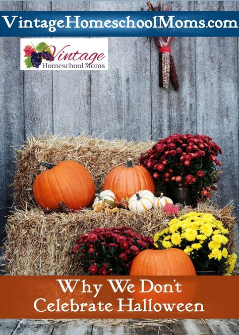 Celebrations come in all shapes and sizes. Celebrations from Easter to Thanksgiving to Christmas … and then there is Halloween. This podcast discusses some important points to consider. Straw Bale Decor Fall, Fall Yard Decorations, Halloween House Ideas, Fall Decor Inside, Autumn Outdoor Decor, Fall Container Plants, Halloween Fun For Kids, Halloween Ideas For Kids, Spider Bite