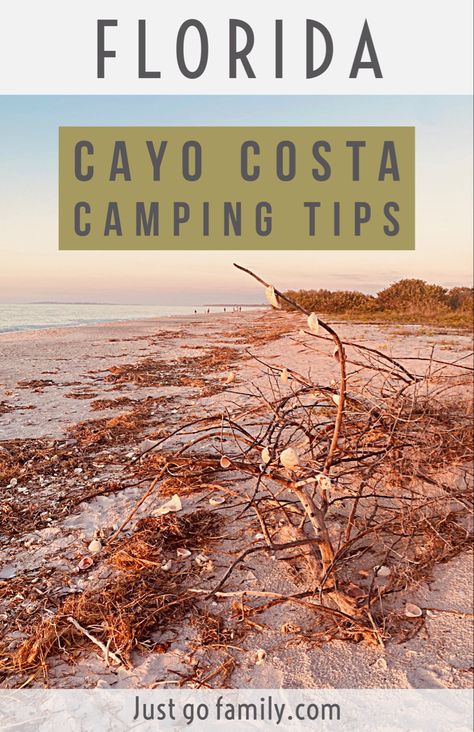 Cayo Costa State Park Camping Cayo Costa State Park, Star Ferry, Florida Camping, Beach Weather, Pine Island, Beach Shower, Camping Tips, Camping Ideas, Camping With Kids