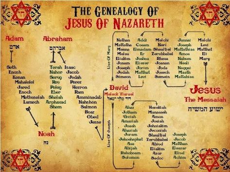 Why Are Jesus' Genealogies in Matthew and Luke Different? Was St. Joseph Adopted, too? Spiritual Insights into Adoption Bible Genealogy, Genealogy Of Jesus, Bible Timeline, Jesus Of Nazareth, Bible Mapping, Bible Study Topics, Bible Study Help, Bible History, Bible Study Notebook