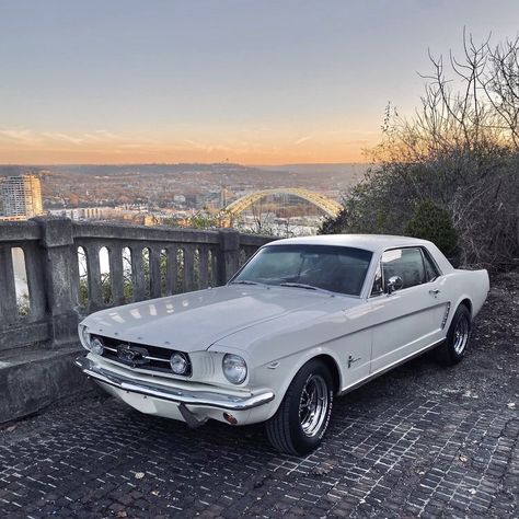 Mustang Cars Old, Old Mustang Aesthetic, Vintage Mustang Aesthetic, Mustang Cars Aesthetic, Cool Cars Aesthetic, Classic Cars Aesthetic, Old Cars Vintage Aesthetic, Aesthetic Mustang, Vintage Cars Aesthetic