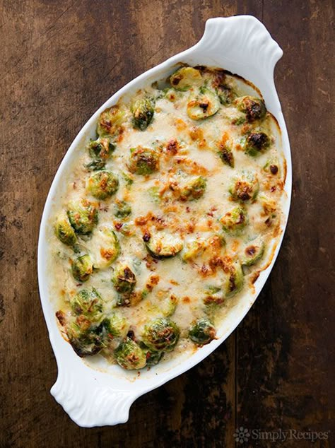 Brussels Sprouts Gratin on Simply Recipes Brussels Sprouts Gratin, Thanksgiving Sides, White Sauce, Simply Recipes, Thanksgiving Side Dishes, Brussels Sprouts, Veggie Dishes, Vegetable Side Dishes, Vegetable Dishes