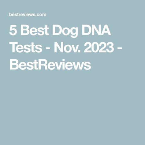 5 Best Dog DNA Tests - Nov. 2023 - BestReviews Dog Dna Test, Dna Test, Best Dogs, Health, Dogs