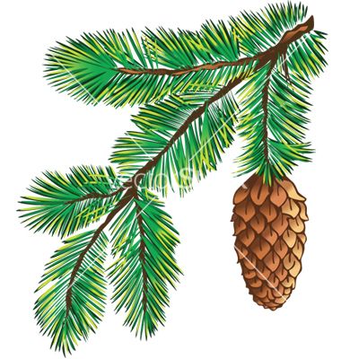 Pine Cone Drawing, Branch Drawing, Family Tree Poster, Christmas Tree Drawing, Tree Textures, Tree Of Life Tattoo, Vector Graphics Design, Tree Logos, Leaves Vector