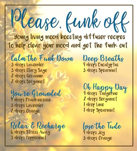 Get The Funk Out Diffuser Blends, Deodorizing Diffuser Blend, You G Living Diffuser Blends, Oil Recipes For Diffuser, Healing Diffuser Blends, Mood Boosting Diffuser Blends, Young Living Essential Oils Recipes Diffuser, Youngliving Recipes, Mood Boosting Essential Oils