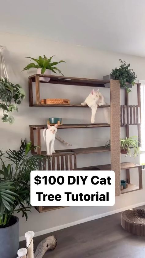 Materials & tools listed below ⬇️ Save this post for later! 1. RYOBI 18V Cordless Orbital Jig Saw - $40 2. Power Drill - $40 3. 1 in. X… | Instagram Cat Tree Built Into Wall, Mounted Cat Tree, Functional Cat Decor, Cat Obstacle Course On Wall, Wall Cat Shelves Diy, Diy Cat Tree On Wall, Wall Mount Cat Tree, Pegboard Cat Wall, Cat Wall With Plants