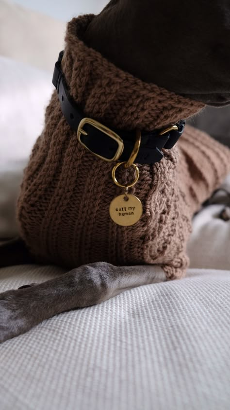 Dog Collar Ideas, Collar Ideas, Personalized Leather Dog Collar, Gold Dog Tag, Velvet Dog Collar, Engraved Dog Collar, Luxury Dog Collars, Dog Collar With Name, Cat Id