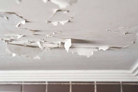 Peeling Ceiling Paint Bathroom, Peeling Ceiling Paint Repair, Paint In Bathroom, Bathroom Ceiling Paint, Exterior Updates, Paint Bathroom, Ceiling Exhaust Fan, Ceiling Paint, Paint Peeling