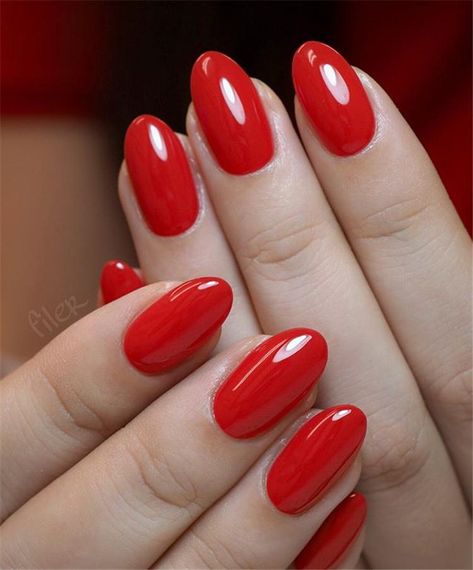 Red Nails Acrylic, Oval Acrylic Nails, Red Acrylic Nails, Work Nails, Short Acrylic Nails Designs, Oval Nails, Short Acrylic Nails, Square Nails, Nail Kit