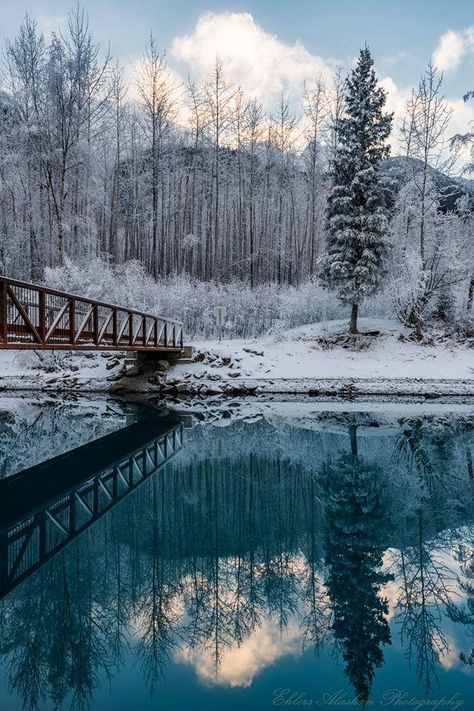 Eklunta Lake  Alaska Alaska Travel, Winter Scenery, Winter Pictures, World Travel, Winter Landscape, Pretty Places, Winter Scenes, Science And Nature, Nature Photos