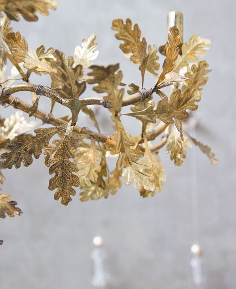 Golden Oak Chandelier | Cox London Oak Chandelier, Tree Chandelier, White Oak Tree, Oak Branch, Chandelier Makeover, Leaf Chandelier, Dried Wreath, Candle Sleeves, Oak Leaves