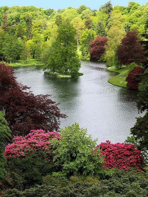 Stouhead House Lake, Wiltshire - England Wiltshire England, House Lake, Trees And Flowers, Places Around The World, Amazing Nature, Wonderful Places, Beautiful World, Beautiful Landscapes, Beautiful Gardens