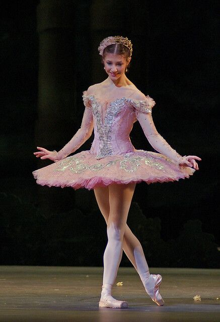 Alina Cojocaru, Photo Danse, Shadow Dancing, Dance Pic, Sleeping Beauty Ballet, Tutu Style, Tutu Ideas, Ballet Wear, Zsazsa Bellagio