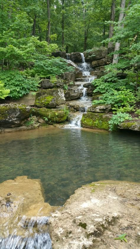 Large Pond Waterfall Ideas, Waterfall Into A Pond, Natural Pools Backyard Swimming Ponds, Garden Pond Waterfall, Pond Natural, Koi Pond Waterfall, Pond With Waterfall, Stream Waterfall, Waterfall Pond