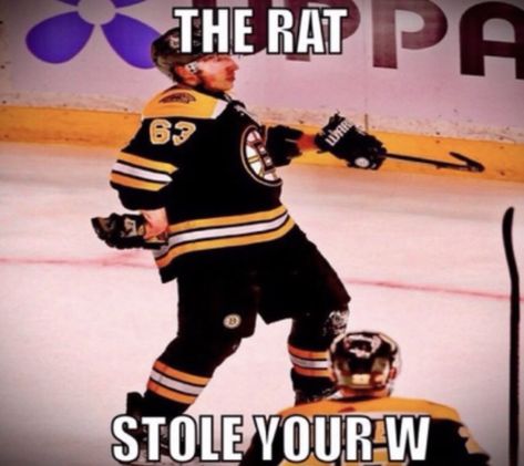 Brad Marchand Funny, Boston Bruins Funny, Canadian Humor, Brad Marchand, Boys Hockey, Hockey Boards, Funny Hockey, Hockey Memes, Hot Hockey Players