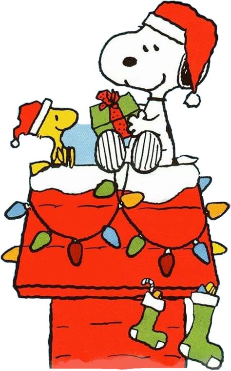 Christmas Glass Blocks, A Charlie Brown Christmas, Christmas Snoopy, Peanuts Snoopy Woodstock, Brown Christmas, Peanuts Christmas, Family Cartoon, Snoopy Love, Merry Christmas Gifts