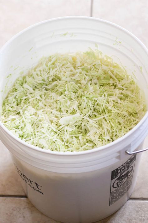 Canning Sour Kraut Water Bath, Saurkraut Recipes Homemade, Homemade Sourkraut, Sourkrout Recipes, Canning Sauerkraut, Sourcrout Recipes, Fermented Vegetables Recipes, Pickled Vegetables Recipe, Making Sauerkraut