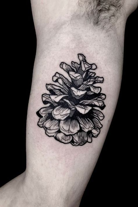 Pine Cone Tattoo, Oak Leaf Tattoos, Cone Tattoo, Fall Tattoos, Pine Tattoo, Earth Tattoo, American Traditional Tattoo Ideas, Traditional Tattoo Ideas, Engraving Tattoo