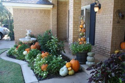 Love all the pumpkins and gourds nestled in the flower beds Fall Landscaping Front Yard, Fall Landscaping, Pumpkins And Gourds, Fall Planters, Fall Front Porch, Fall Outdoor Decor, Fall Outdoor, Fall Porch, Flower Bed