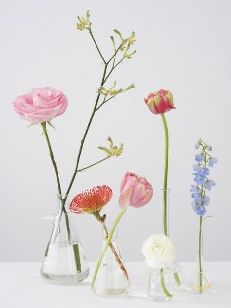 Blog - Barefoot Styling Deco Floral, Table Flowers, Arte Floral, Flowers Nature, Ikebana, Plants Flowers, Love Flowers, Flowers Photography, Flower Arrangement