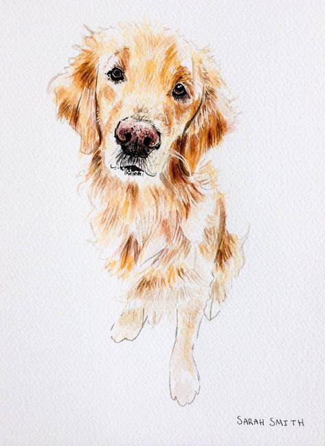 Golden Retriever Sketch, Retriever Drawing, Golden Retriever Drawing, Painting Clipart, Golden Retriever Watercolor, Golden Retriever Painting, Dogs Watercolor, Watercolor Painting Easy, Watercolor Dogs