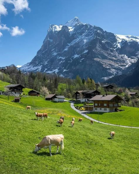 Nature Documentary, Nature 4k, Erin Napier, Nature Waterfall, Engelberg, Mountain Landscape Photography, Town Home, Beautiful Scenery Photography, Chile Travel