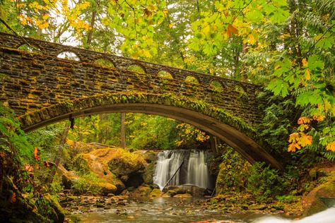 Whatcom Falls Park, Western Washington University, Logging Industry, Cascades National Park, Cascade National Park, Bellingham Washington, Dilly Dally, North Cascades National Park, Western Washington