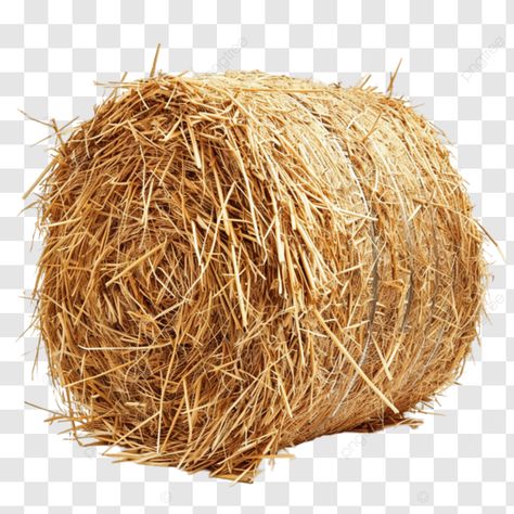 from field to farm the journey of a hay bale hay bale farming agriculture png Character Lineup, Bale Of Hay, Bales Of Hay, Agriculture Farming, Hay Bales, Transparent Image, Sketches Simple, Art Drawings Sketches Simple, Png Transparent