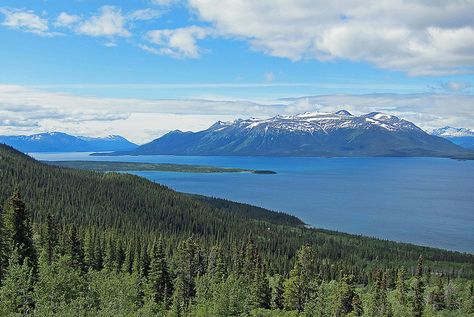 Atlin Lake in northern British Columbia Canada Scenery, All About Canada, Obscure Facts, Yukon Territory, Dartmouth College, Mountain Trail, Kayak Adventures, O Canada, The Monarch