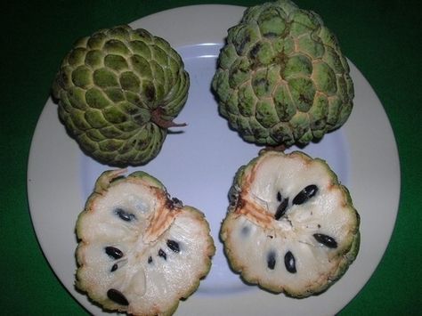 Sweetsop, sometimes known as Custard Apple or Sugar Apple | 20 Awesome Fruits You've Never Even Heard Of Weird Fruit, Custard Apple, Apple Custard, Strange Fruit, Sugar Apples, Apple Fruit, Exotic Fruit, Tropical Fruits, Fruit In Season