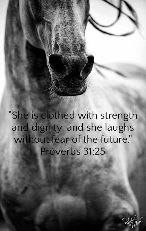 A Horse, Bible Verse, Verses, Bible Verses, Bible, Horses, Black And White, Quotes, White