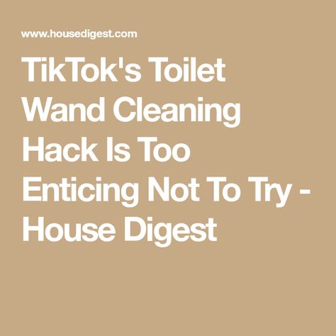 TikTok's Toilet Wand Cleaning Hack Is Too Enticing Not To Try - House Digest Clorox Toilet Wand, Toilet Bowl Stains, How To Store, Surface Cleaner, Cleaning Solutions, Cleaning Tools, Cleaning Hacks, Pandas