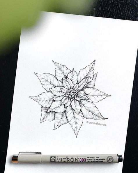 Poinsettia Tattoo, Flowers Coloring, H Design, Flower Sketches, Poinsettia Flower, Ink Illustrations, Graphic Arts, Line Art Drawings, Compass Tattoo