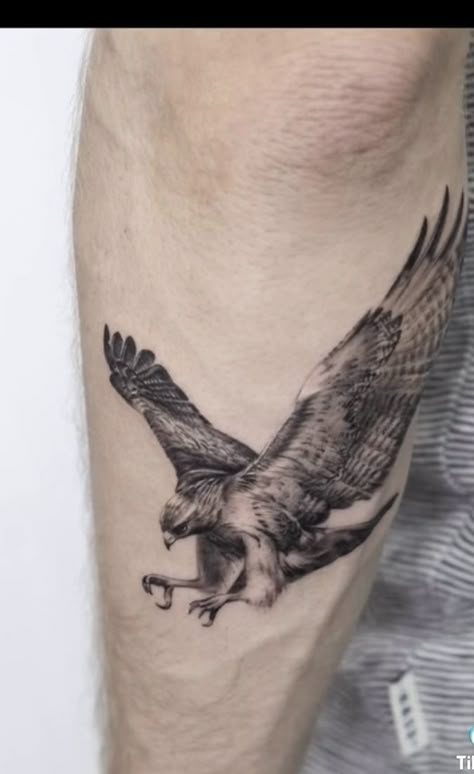 Recycle Tattoo, Falcon Tattoo, Hawk Tattoo, Petit Tattoo, Muster Tattoos, Cool Forearm Tattoos, Inspiration Tattoos, Eagle Tattoos, Red Tailed Hawk