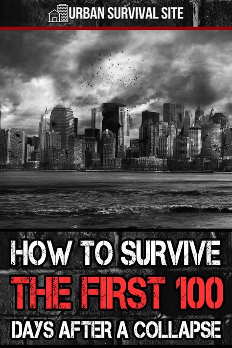 If a country or our entire civilization collapses, getting through the first 100 days will be extremely challenging. Here's how to prepare. Emp Survival, Survival Prepping Diy, Primitive Skills, Survival Skills Emergency Preparedness, Survival Tactics, Survival Foods, Off Grid Survival, Doomsday Prepper, Doomsday Survival