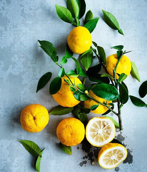 Arnold's yuzu | Gourmet Traveller Yuzu Aesthetic, Lemon Vodka Drinks, Freeze Lemons, Lemon Drinks, Citrus Food, Lemon Cleanse, Dessert Lemon, Yuzu Fruit, Versace Fragrance