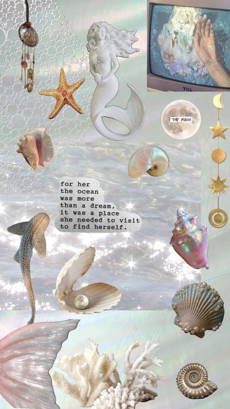 #myfirstshuffle Sea Shell Aesthetic Wallpaper, Seastar Wallpaper, Purple Mermaid Aesthetic, Blue Mermaid Aesthetic, Seashell Wallpaper, Pink Seashell, Pearl Wallpaper, Coconut Dream, Beach Wardrobe