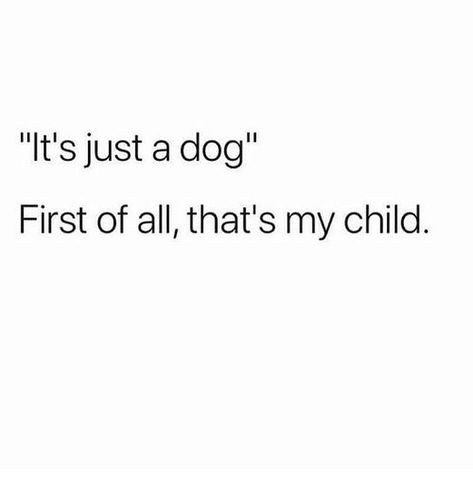 It’s Just A Dog Quote, Dog Mum Quote, Love For Dogs Quotes, Cute Dog Quotes Short, Child Meme, Dog Mom Quotes, Dog Quotes Love, Me Me, Animal Quotes