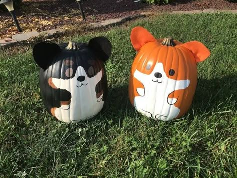 Dog Pumpkins, Dog Pumpkin Decorating Ideas, Cute Animal Pumpkin Painting, Bunny Pumpkin Painting, Animal Pumpkins Painting, Squishmallow Pumpkin Carving, Veterinary Pumpkin Decorating, Chicken Pumpkin Painting, Puppy Pumpkin Painting