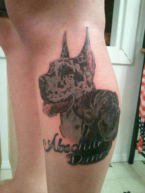 Great Dane Tattoo Ideas, Leg Drawings, Great Dane Tattoo, Golden Retriever Tattoo, Bull Terrier Tattoo, Paw Tattoos, Dog Portrait Tattoo, Animal Magazines, Bulldog Tattoo