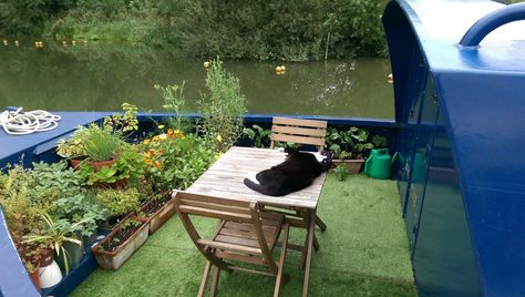 Gardening on a Boat – A Whole Plotta Love Growing Plants On A Boat, Narrowboat Exterior, Laying Artificial Grass, Narrowboat Interiors, Boat Living, Perseid Meteor Shower, Alternative Living, Narrow Boat, Dream Boat