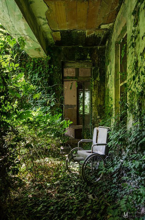 Soneva Fushi, Apocalypse Aesthetic, Urban Exploring, Exterior Bloxburg, Foto Art, Abandoned Buildings, Bloxburg House, Abandoned Houses, Amazing Photos