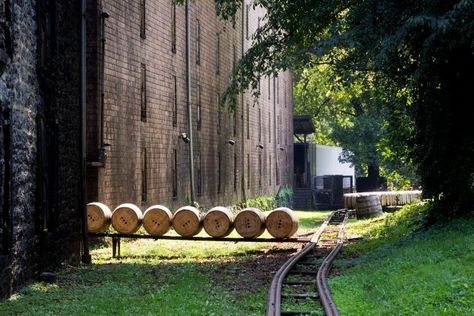 Kentucky distillers could soon sell on site Woodford Reserve Distillery, Wild Turkey Bourbon, Country Playlist, Kentucky Bourbon Trail, Woodford Reserve, Kentucky Bourbon, My Old Kentucky Home, Down South, Weekend Trips