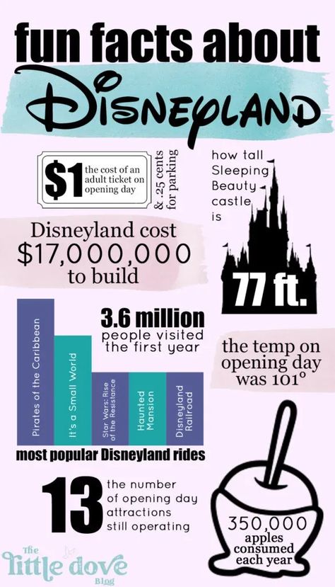 Fun facts about Disneyland. Disneyland statistics. Disney Infographic, Disney Secrets Disneyland, Saving For Disneyland, Disneyland Facts, Disneyland Facts And Secrets, Disneyland Attraction Posters, Packing List For Disney, Disneyland Secrets, Disneyland Rides