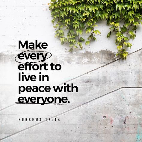 VOTD July 25 - Pursue peace with all men, and the sanctification without which no one will see the Lord. Hebrews‬ ‭12:14‬ ‭NASB‬‬ Lord King, Book Of Hebrews, Live In Peace, Relationship Killers, Hebrews 12, Youversion Bible, New American Standard Bible, Ayat Alkitab, Daily Bible Verse