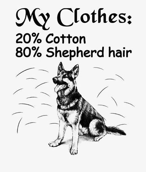 German Shepherd Dog Quotes, German Shepherd Quotes, German Shepherd Memes, German Sheperd Dogs, German Shepherd Shirt, German Shepherd Funny, Funny German Shepherd, Dog Rules, Dog Drawing