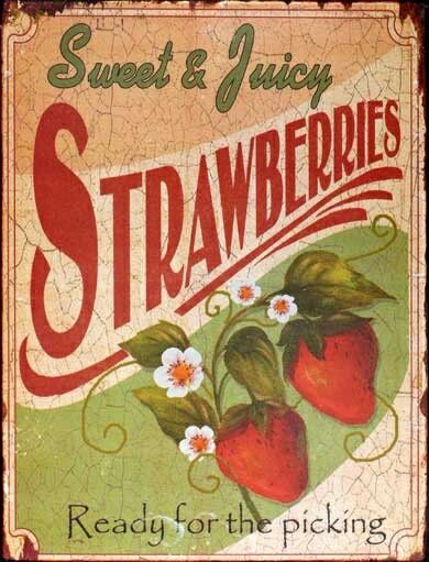 Vintage Strawberry Sign. Strawberry Kitchen, Strawberry Farm, Strawberry Fields Forever, Strawberry Decorations, Strawberry Picking, Strawberry Patch, Strawberry Fields, Old Signs, Jolie Photo